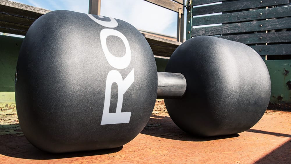 Monster Bells Loadable Circus Dumbbells Rogue Fitness